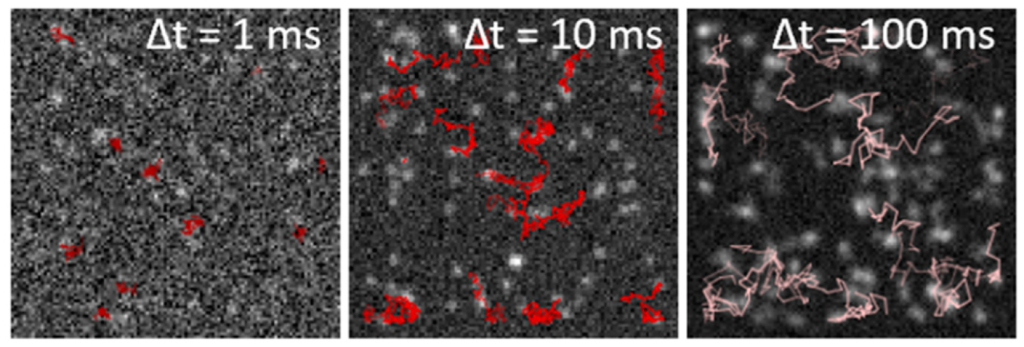 Images of nanoparticles (bright spots on a dark background) with red lines showing the path taken by each particle over a specified duration of time (left image, 1 ms; middle image, 10 ms; right image 100 ms).