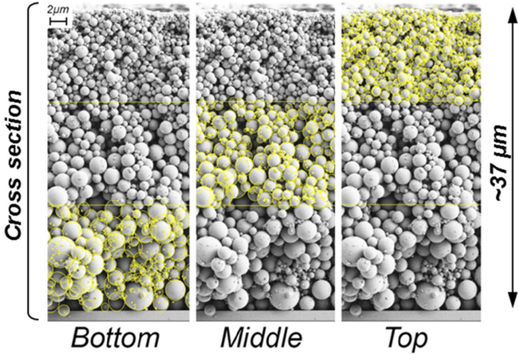 SEM image showing a cross-section through the thickness (37 microns) of a dried deposit of polydisperse lignin particles with sizes in the nanoscale to colloidal ranges. The particles are stratified by size from smallest (top) to largest (bottom), and particles are outlined in each section to demonstrate the image analysis process for size determination.