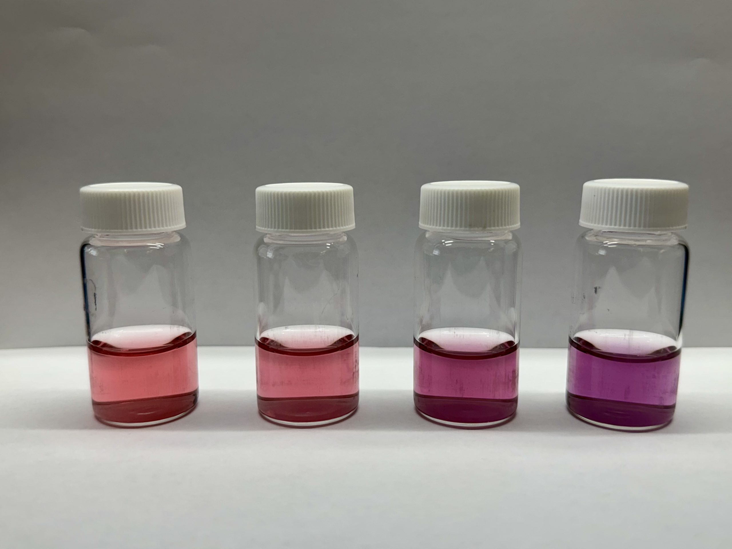 Variation in colors (pink to purple) of four batches of gold nanoparticle samples, all synthesized at the same time.