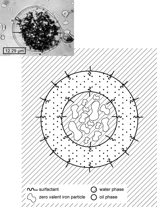 Transmission electron microscope image of zerovalent iron nanoparticles emusified in micron-sized oil droplets.