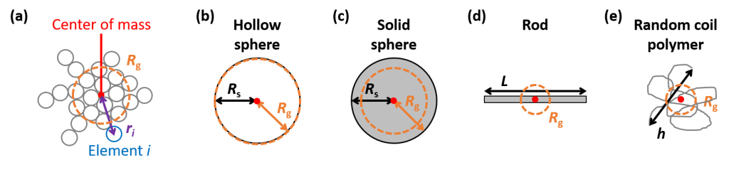 Diagram showing determination of the radius of gyration (Rg) and Rg for four shapes.