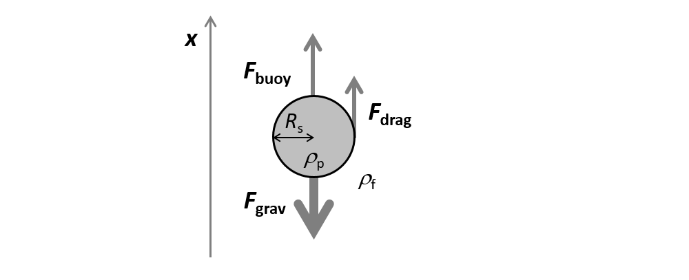 Diagram depicting the forces acting on a particle