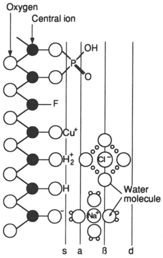 Diagram depicting inner and outer sphere surface complexes