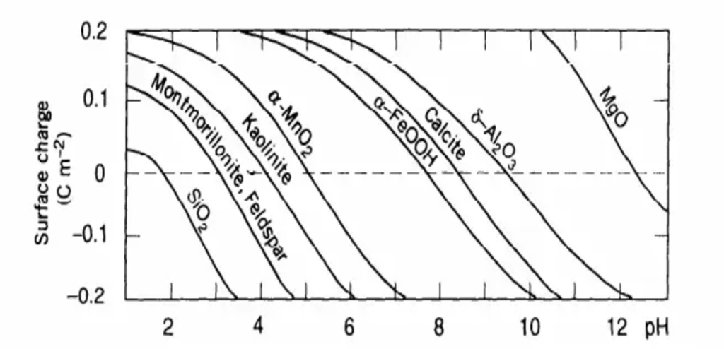 Plot of surface charge density versus pH showing 8 curves for different metal oxide mineral species. Each material has a curve starting at a positive value at low pH, crosses y = 0 (at a different location for each curve), and becomes negative at high pH. From left to right, the materials are labeled as SiO₂, montmorillonite and feldspar, kaolinite, α-MnO₂, α-FeOOH, calcite, δ-Al₂O₃, and MgO.