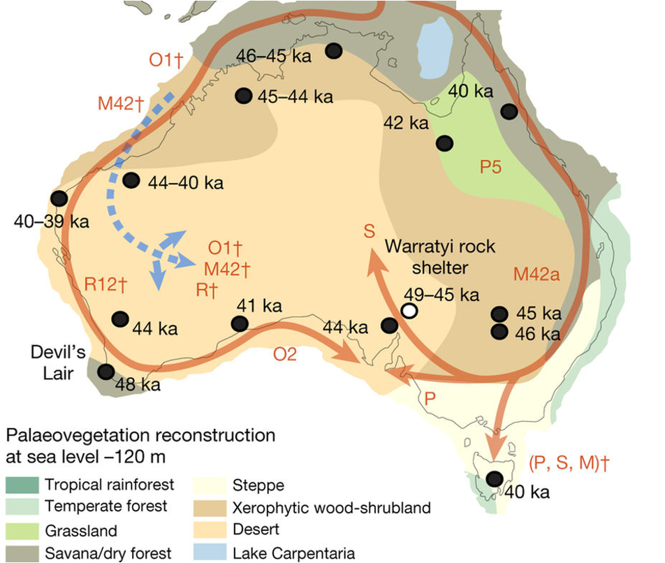 The peopling of Australia
