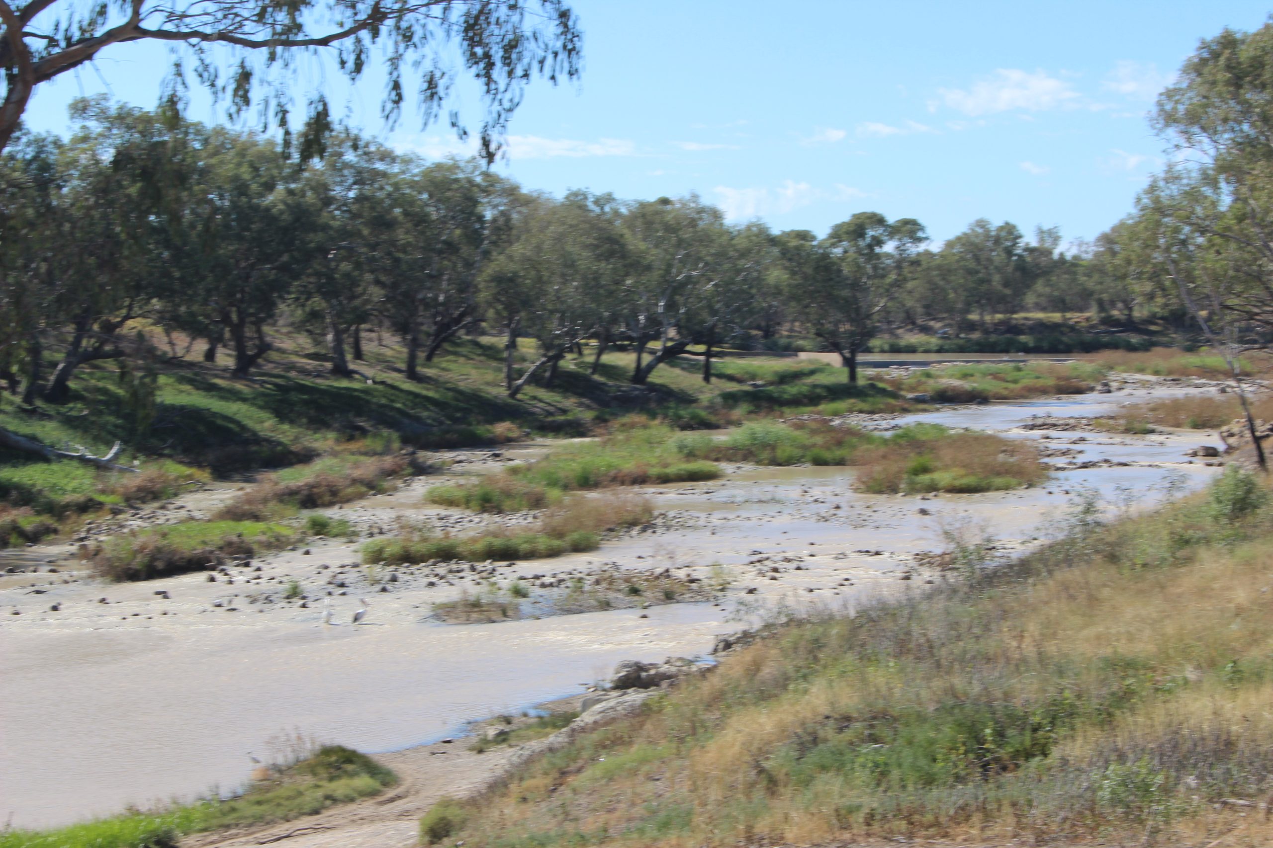 Present day fish traps