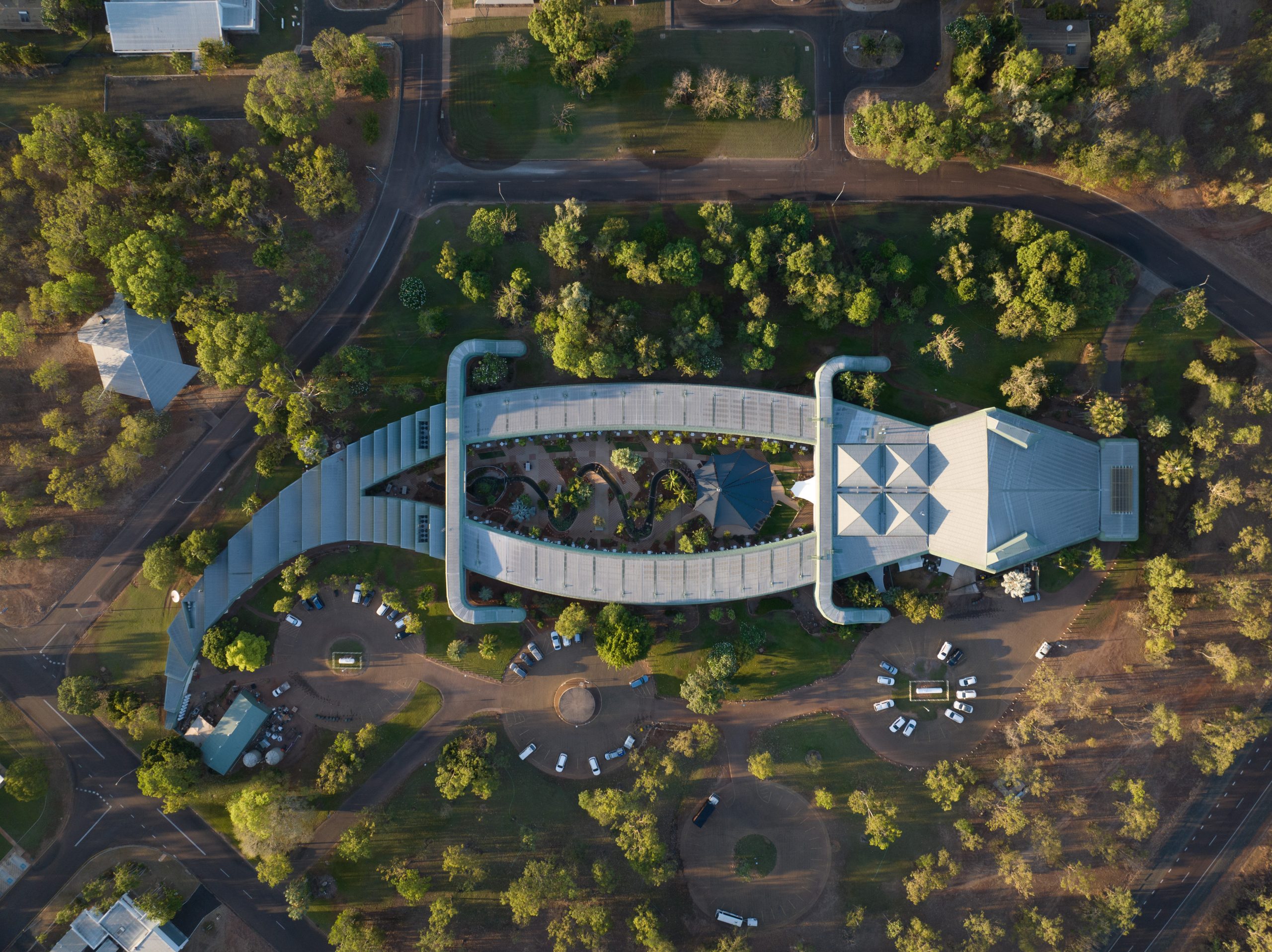 Crocodile Design for hotel