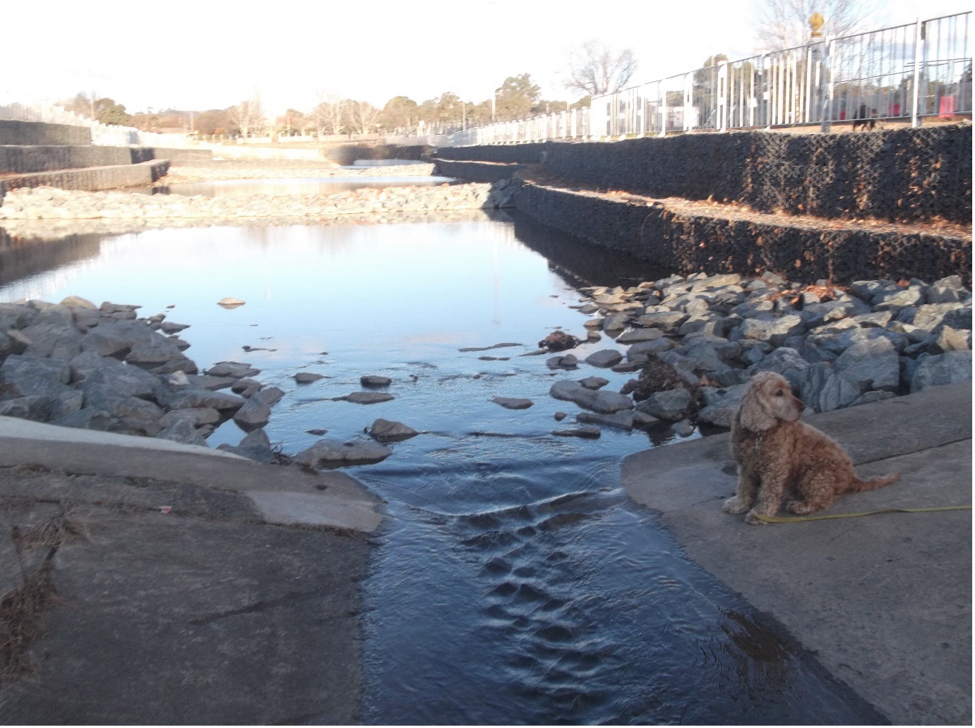 SAME REACH AS IN FIG 1 FROM YARRALUMLA CREEK, 2 JUNE, 2019